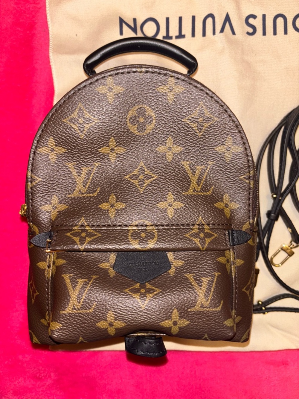 Louis Vuitton Monogram palm springs mini Backpack in Brown with Gold Hardware - Picture 3 of 13